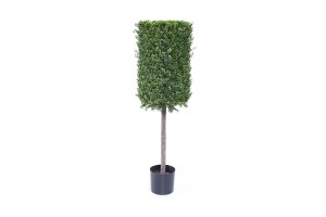 4.5ft. Boxwood Topiary