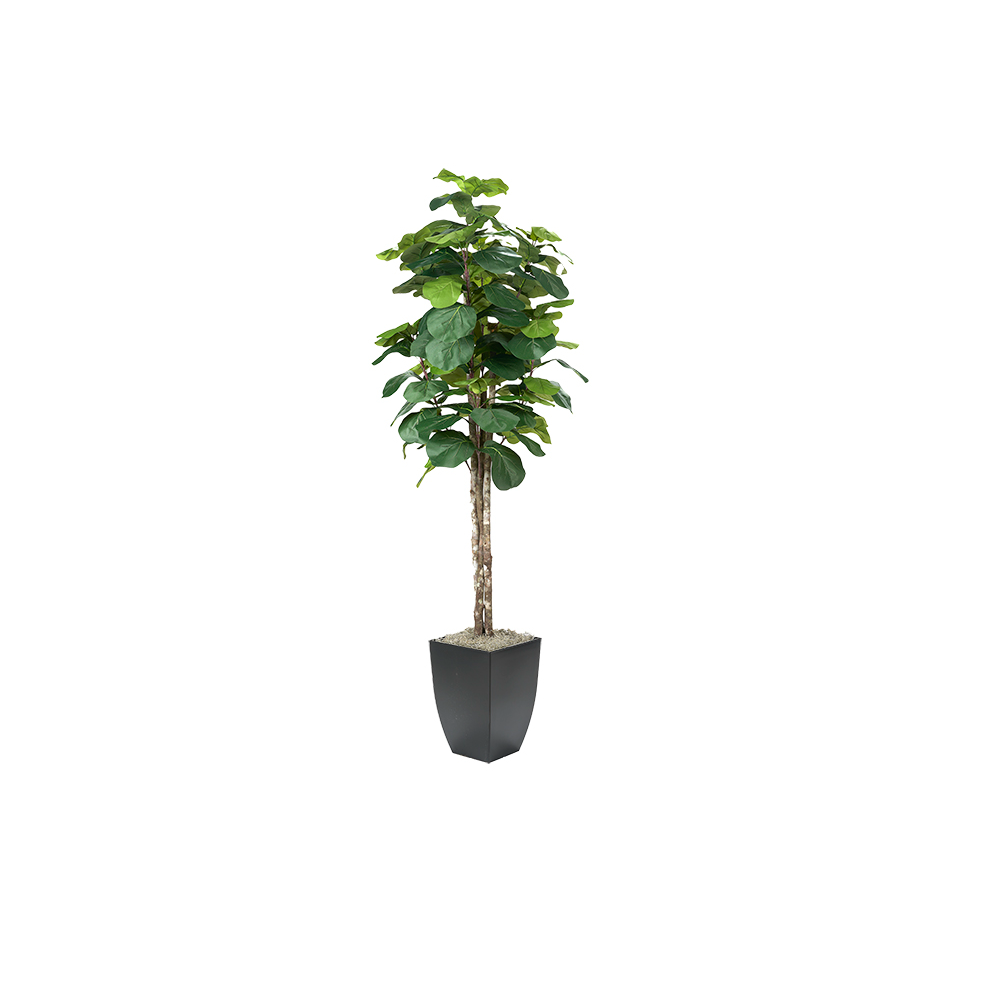 7' Artificial Fiddle Leaf Fig in Planter - The Great Escape